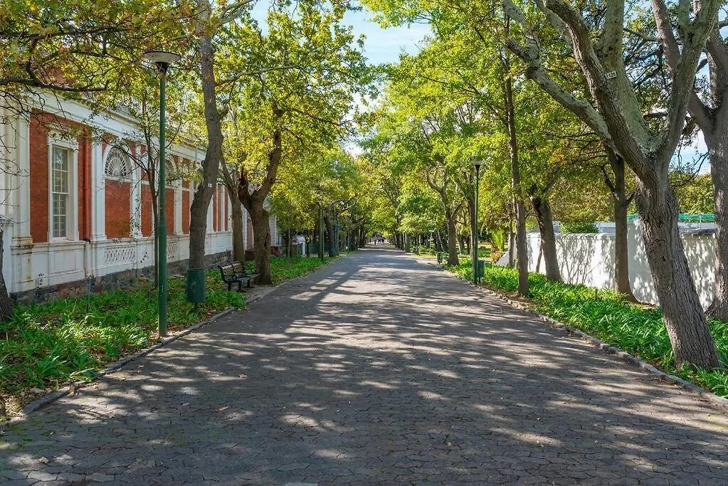 Luxury Urban Living In The East City At The Harri ケープタウン 0*,